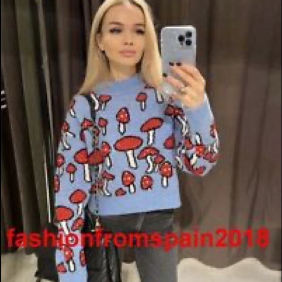 🆕 {Zara} Jacquard Knit Sweater - Mushrooms - Picture 5 of 10